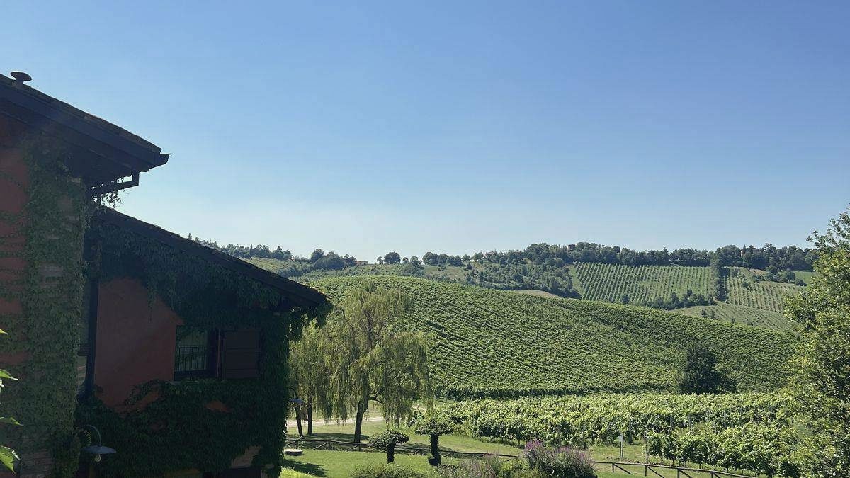 Hotelgebäude mit Pool über Weinbergen in der Hügellandschaft