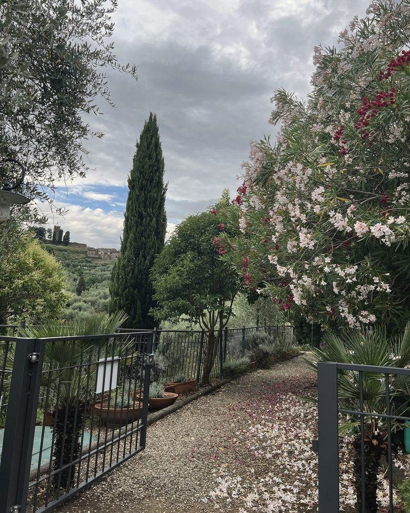 Kiesweg zwischen Oleander, Zypressen und Olivenbäumen